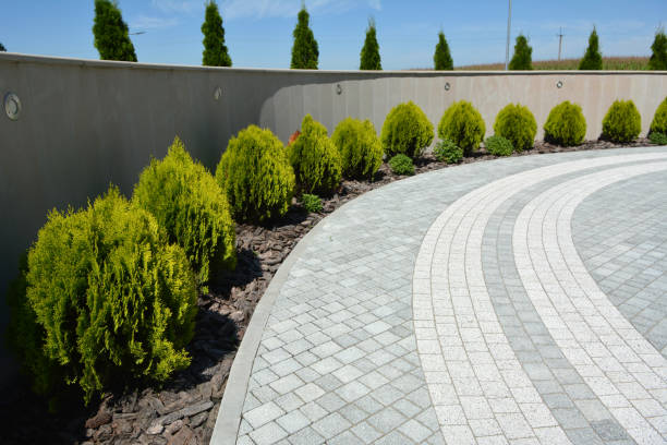 Best Custom Driveway Pavers  in Fridley, MN